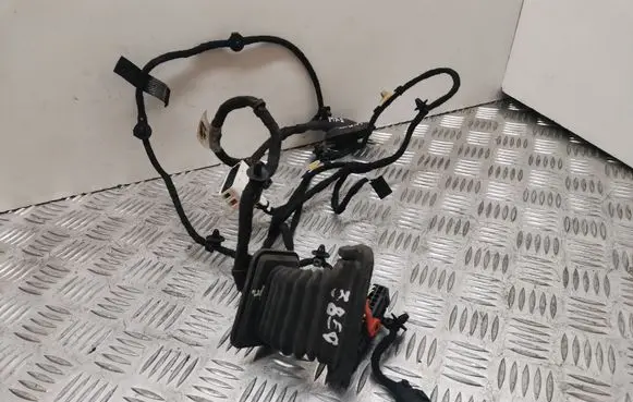 Rear door wiring loom