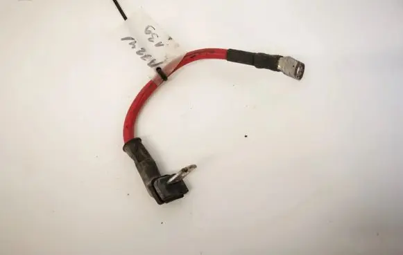 Opel Signum Other wiring loom