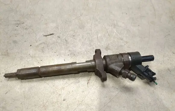Citroen C4 I Fuel injector 0445110239