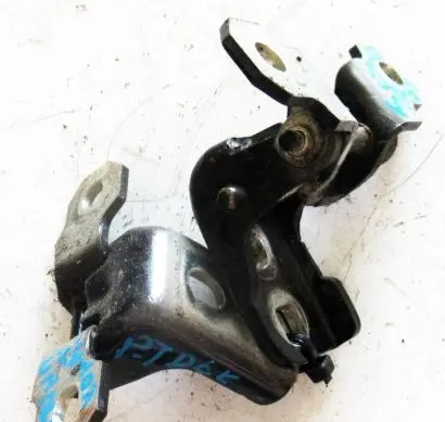 Renault Laguna III Rear door lower hinge