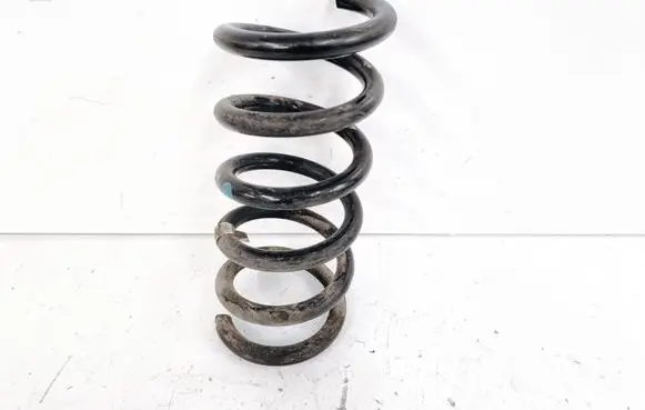 Rear coil spring