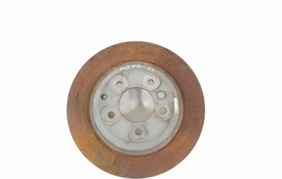 Porsche Cayenne (92A) Rear brake disc 95835240150