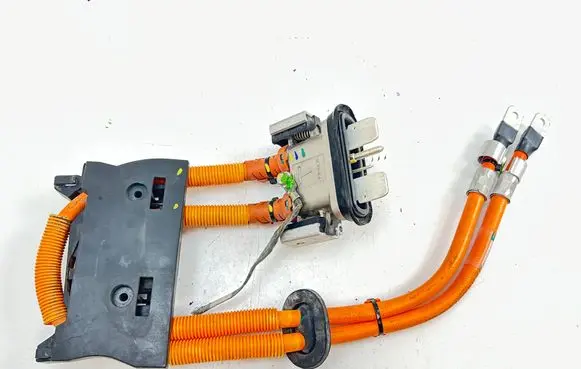 Tesla Model S Other wiring loom 101281200B 100333600B