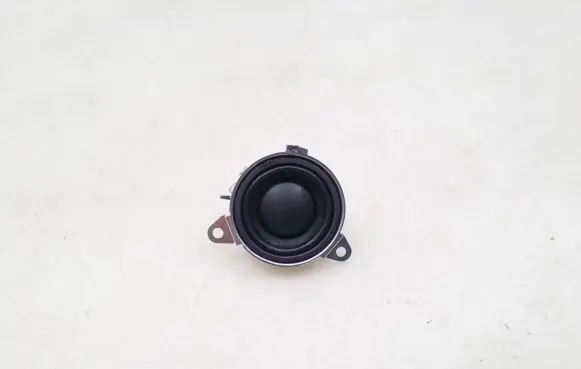 Panel speaker