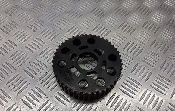 Skoda Octavia Mk2 (1Z) Camshaft pulley/ VANOS 038109111E