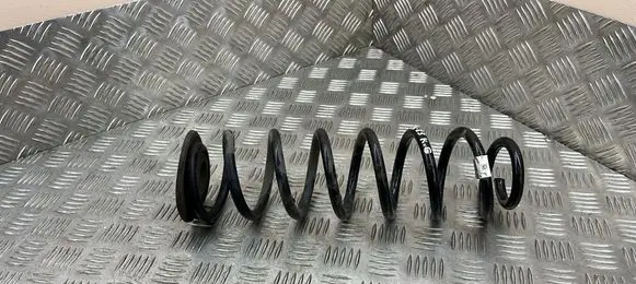 Rear coil spring