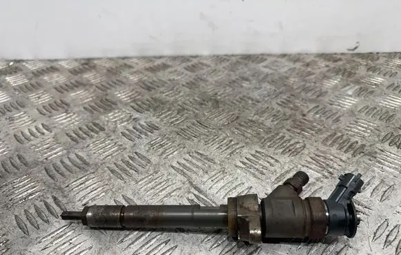 Peugeot Partner Fuel injector 0445110311 620033