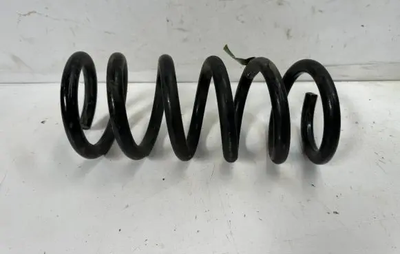 Ford Mustang VI Rear coil spring FR3C5560KC