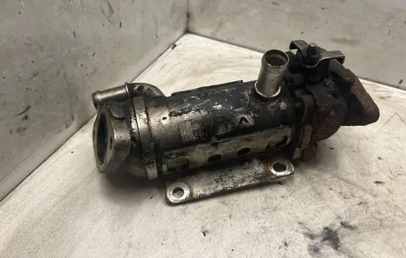 Renault Trafic II (X83) EGR valve cooler 8200340616