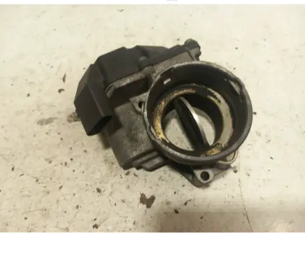 Volkswagen Multivan T5 Throttle valve a2c5324982