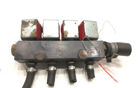 Citroen Xsara Picasso LP gas injector 67R010104