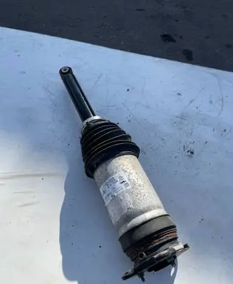 Tesla Model 3 Front shock absorber/damper 106746125c W309255100 A17100513161