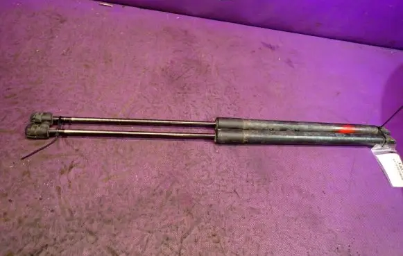 Tailgate strut