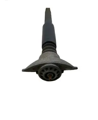 Volkswagen PASSAT B7 Rear shock absorber/damper 3C0512011CT