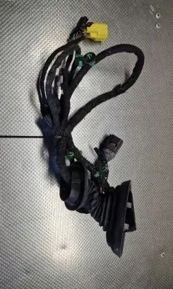 Audi RS4 Front door wiring loom 8E1971029AH