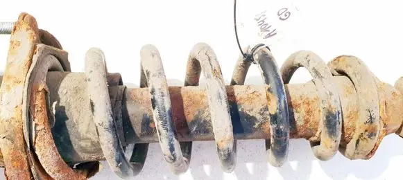 Rear coil spring