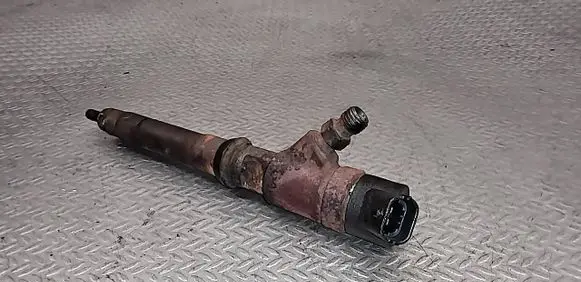 Fiat Ducato Fuel injector 0445110418 504389548