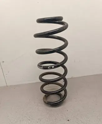 Rear coil spring