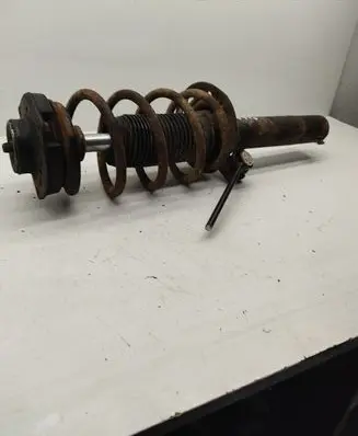 Seat Altea Front shock absorber with coil spring