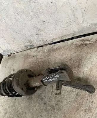 Opel Insignia A Front shock absorber with coil spring