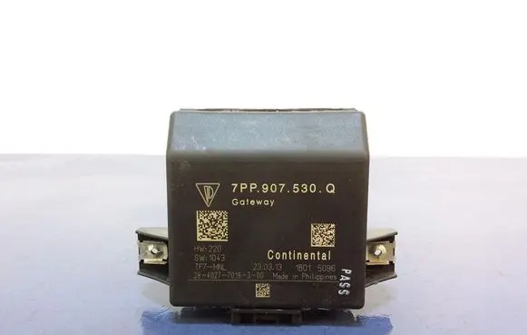 Porsche Cayenne (92A) Gateway control module 7PP907530Q