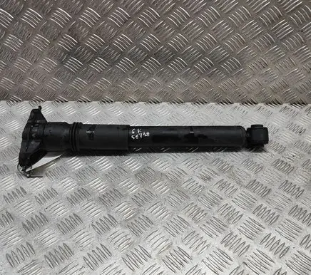 Citroen C4 III e-C4 Rear shock absorber/damper 9841379480