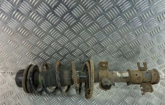 Fiat Bravo Front shock absorber with coil spring 50708892