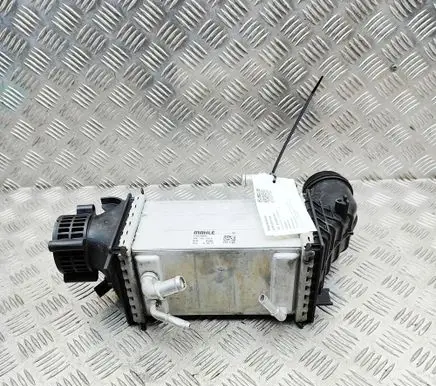 Volkswagen T-Roc Intercooler radiator 04E145785E