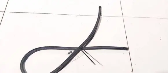 Citroen Berlingo Rubber seal front coupe door 