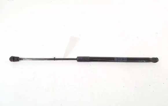 Mercedes-Benz A W169 Tailgate strut A1697400045