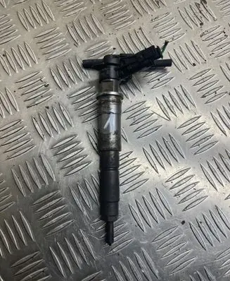 Renault Latitude (L70) Fuel injector 0445115047