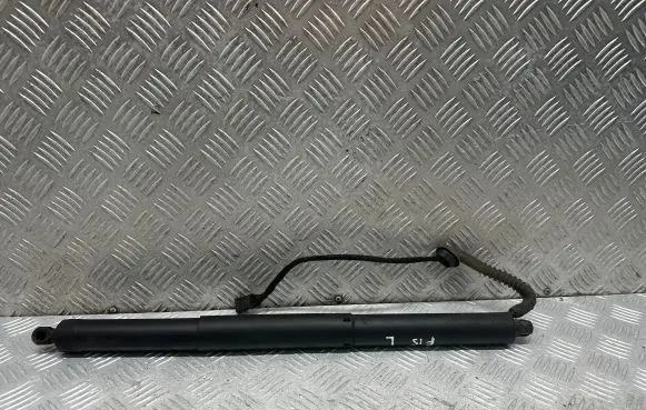 Tailgate strut