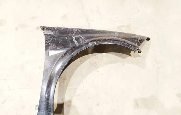 Renault Megane II Fender 