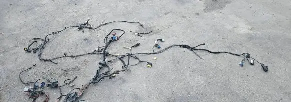 Fiat Ducato Other wiring loom