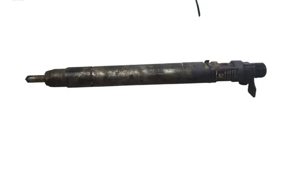 Ford S-MAX Fuel injector 9686191080 EMBR00101D