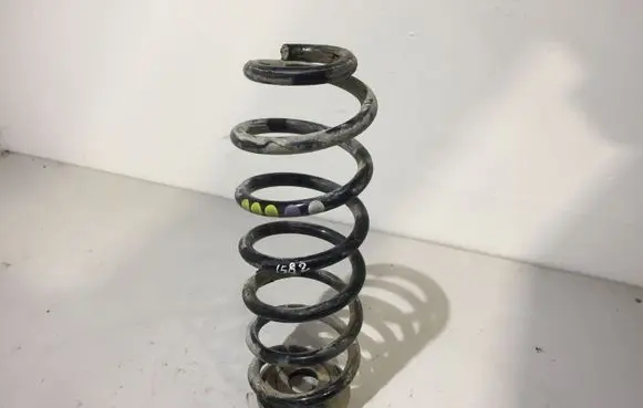 Volkswagen PASSAT B6 Rear coil spring