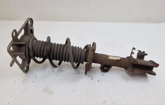 Fiat 500X Rear shock absorber with coil spring 