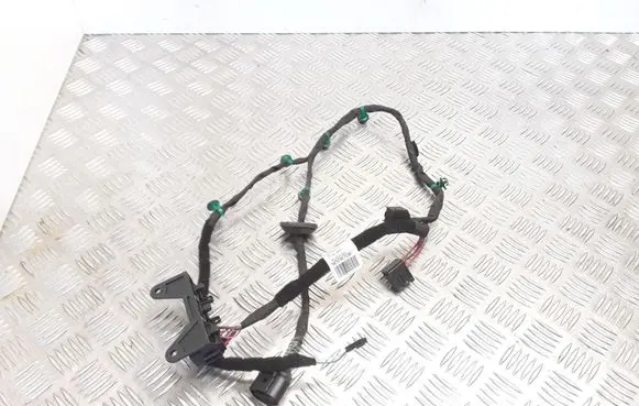 Volkswagen Phaeton Rear door wiring loom 3D0971693AS