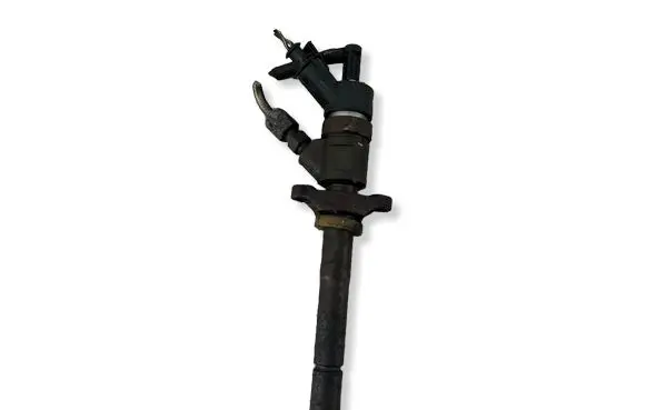 Citroen C4 I Picasso Fuel injector 0445110259