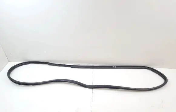 Rear door rubber seal (on body)
