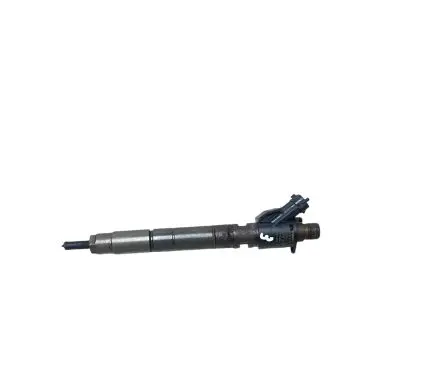 Volvo C30 Fuel injector 31303238 0445116046 B445141