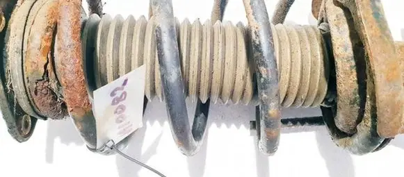 Ford Focus C-MAX Front coil spring
