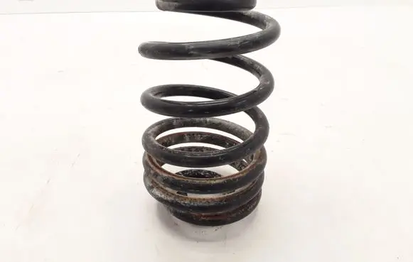 Nissan Primastar Rear coil spring 550202870R