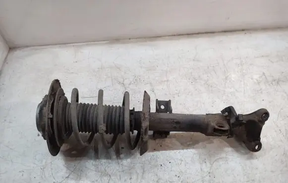 Mercedes-Benz CLS C218 X218 Front shock absorber with coil spring