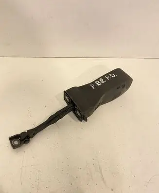 Volkswagen PASSAT B8 Front door check strap stopper 3G0837267