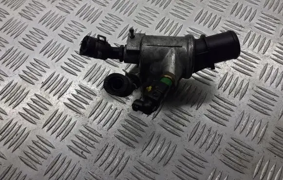 Thermostat/thermostat housing