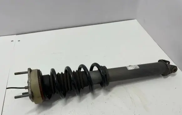 Porsche 911 991 Rear shock absorber with coil spring 99133305308
