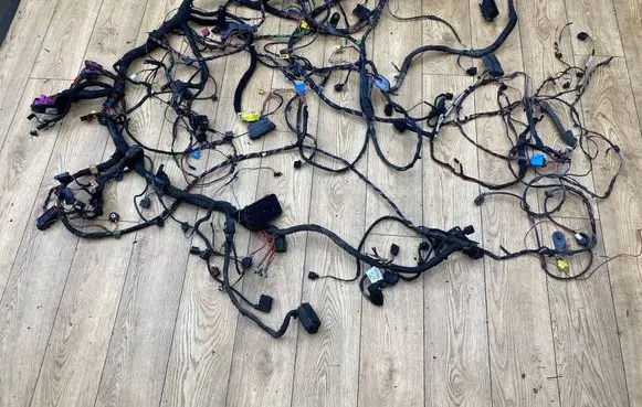 Volkswagen Golf V Wiring harness 1K1970922B