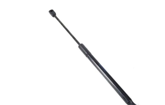 Tailgate strut