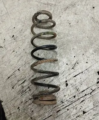 Rear coil spring